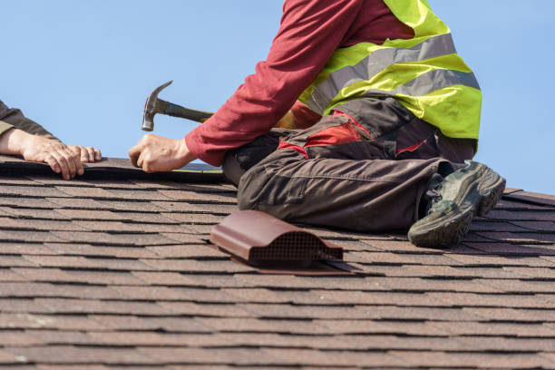 Best Roof Gutter Cleaning  in Ara, AL