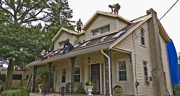 Best Roof Gutter Cleaning  in Ara, AL